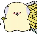 방송&다이어트댄스 이미지