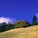 무형농장-2 이미지