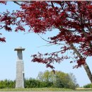 입석2구 Daum카페