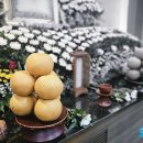 뉴대성병원 이미지