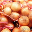 양파 이미지