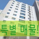 더펠리스 이미지
