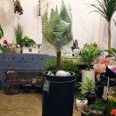 여주-0704 이미지