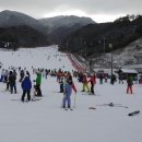 나오스펜션 이미지