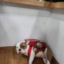 아름다운 한증막 이미지