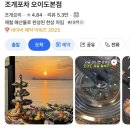 오션회포차 | 인스타 알고리즘 난리 난 그 생새우회! 🦐 오이도 조개포차 본점 : 오션뷰에 취하고 조개구이에 반한 후기