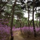 통일동산두부마을 이미지