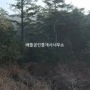 돼지임업 티스토리