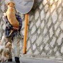 인터넷월드 이미지