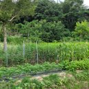 명곡농장 이미지