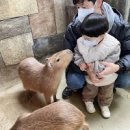 오산 아이와 가볼만한곳 오산버드파크 실내동물원 이미지