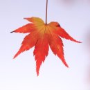 금호 조각공원 이미지