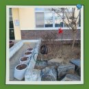 성덕초등학교 이미지