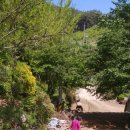 촌닭백숙옻닭 이미지