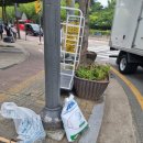 와동체육공원 사거리 이미지