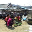 고창향토영농조합법인