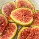 사남매농장 이미지