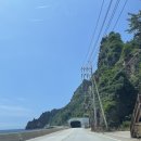 청양엘피지충전소 | 울릉도 | 울릉도캠핑 | 반려견동반 | 울릉도독도해양연구기지_노지캠핑