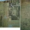 새대호다방