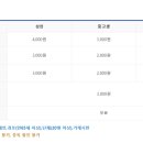 맹종죽테마파크1 이미지