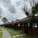 쿠키피시카페 이미지