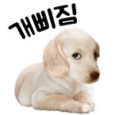 반성당구장