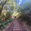 대한민국은 왜 아파트인가 이미지