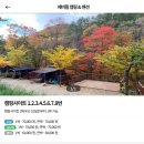 칡소폭포캠핑장식당 | 한 여름밤의 꿈같던 애견동반캠핑 (에버힐캠핑장)