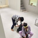 하이버블