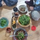 홍화민박 이미지