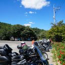 라오니아 이미지