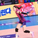 배구 김연경 선수 은퇴투어 일정 (이번시즌 현역 은퇴) 이미지