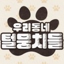 털뭉치들 이미지