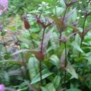 뜰이야기 이미지