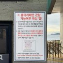 치치퐁 | 귀여운 토끼 아이스크림 치치퐁 후기, 비바람 부는 날 용머리해안 가보기, 주차 꿀 팁