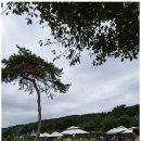 한결행정사사무소 이미지