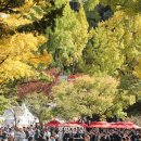 10월25일(토)정동문화축제 이미지