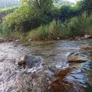 청일관광농원 이미지