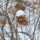 함평자연생태공원 이미지