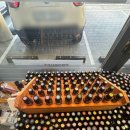 반려동물을 위한 천연아로마제품 원데이 클래스 | 천연 아로마오일 체험, 고양실내데이트 추천 &#39;도테라 은평점 아로마라운지&#39; 솔직후기