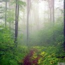 산야촌