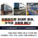 우리집 | 강아지 포근한 방석 사용하며 달라진 우리집 후기