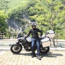 정선초교가수분교 이미지