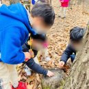 꽃들에나라어린이집 이미지