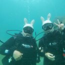 함덕스쿠버다이빙 이미지