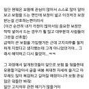 보험 고지의무때문에 해약했다가 재계약하고 난리 부르스를 친 사람이 쓰는 보험관련 후기 및 팁(?) *스압/장문 주의* 이미지