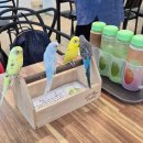 리프패럿진주점 이미지