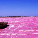 최고복집 이미지