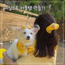 못된강아지 | 왕초보가 미싱을 배운 흔적들 인간과 강아지의 커플템 및 자잘한 소품 만든 것 전격공개