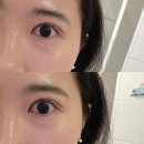 똥손도 쉽게 쓰는 에뛰드 애쉬브라운 브로우 카라 후기 내돈내산 쿠팡구매